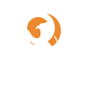 Phoenix Awakening Logo white